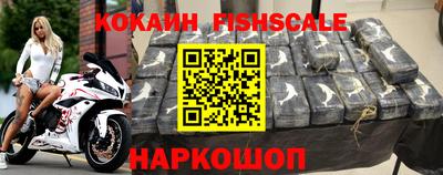 СК Новодвинск