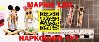 СК Новодвинск