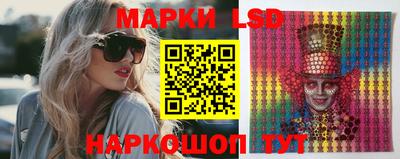 индика Новозыбков