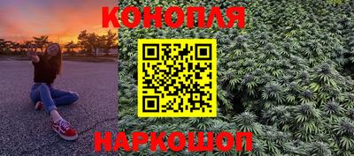 индика Новозыбков