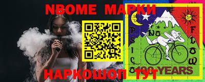 СК Новодвинск