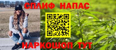 СК Новодвинск