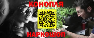 индика Новозыбков