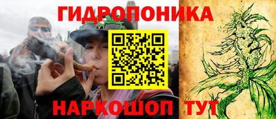 МДПВ Новокубанск