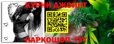 индика Новозыбков