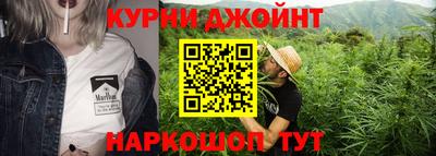 СК Новодвинск