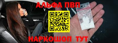 СК Новодвинск