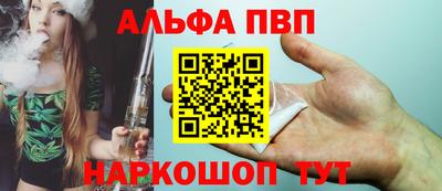СК Новодвинск