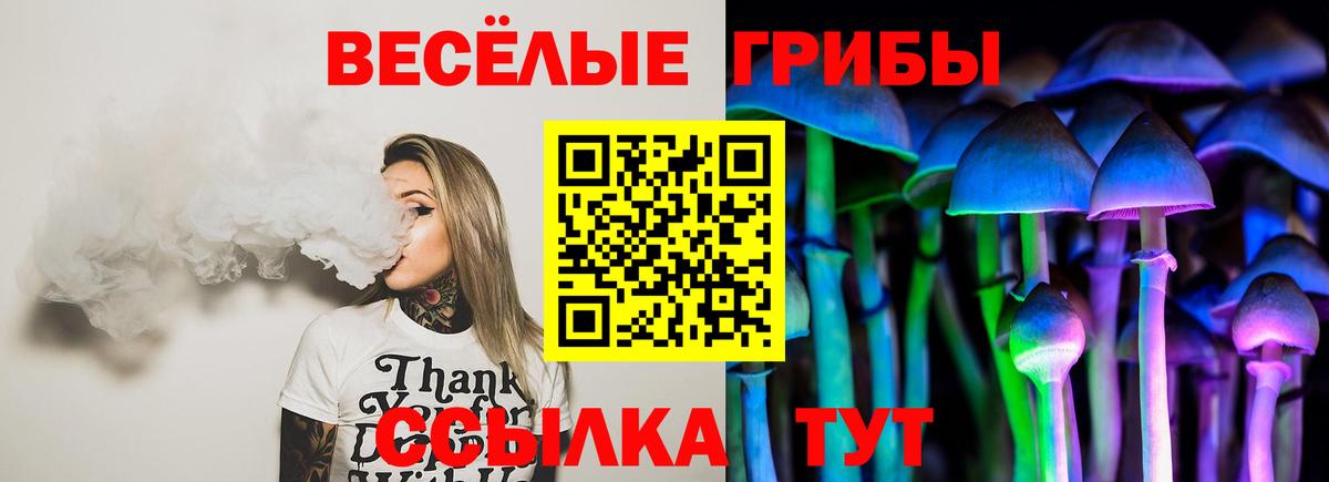 Псилоцибиновые грибы мухоморы Соль-Илецк